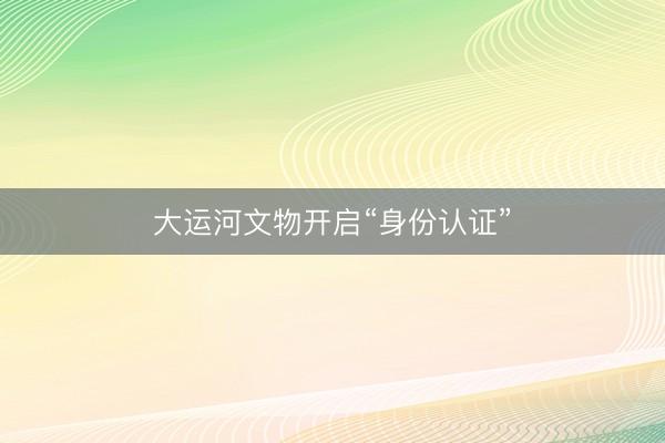 大运河文物开启“身份认证”