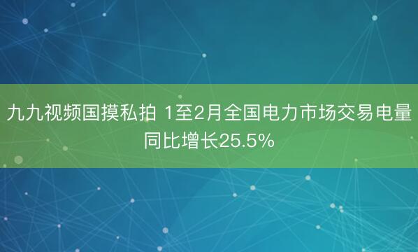九九视频国摸私拍 1至2月全国电力市场交易电量同比增长25.5%