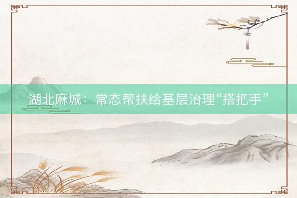湖北麻城：常态帮扶给基层治理“搭把手”