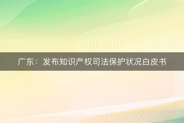 广东：发布知识产权司法保护状况白皮书