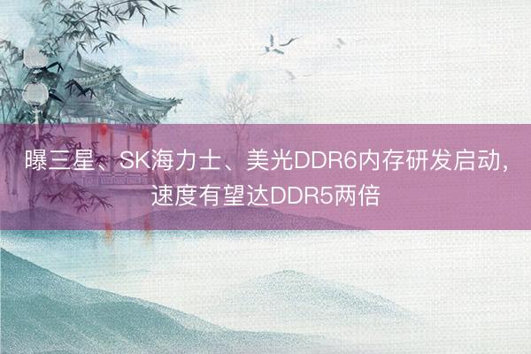 曝三星、SK海力士、美光DDR6内存研发启动，速度有望达DDR5两倍