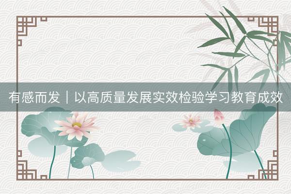 有感而发｜以高质量发展实效检验学习教育成效
