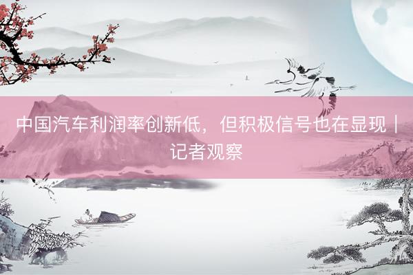 中国汽车利润率创新低，但积极信号也在显现｜记者观察