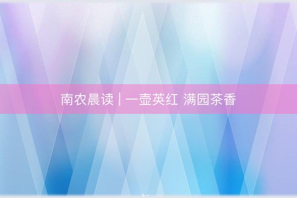 南农晨读 | 一壶英红 满园茶香