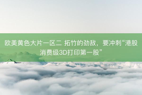 欧美黄色大片一区二 拓竹的劲敌，要冲刺“港股消费级3D打印第一股”