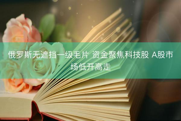 俄罗斯无遮挡一级毛片 资金聚焦科技股 A股市场低开高走