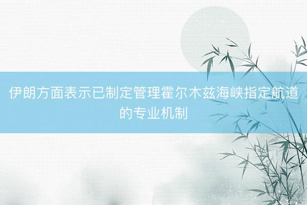 伊朗方面表示已制定管理霍尔木兹海峡指定航道的专业机制