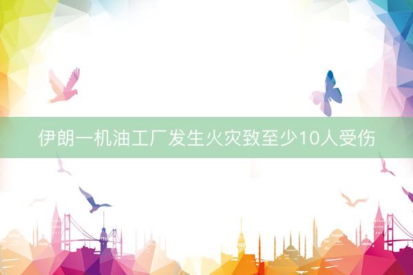 伊朗一机油工厂发生火灾致至少10人受伤