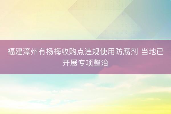 福建漳州有杨梅收购点违规使用防腐剂 当地已开展专项整治