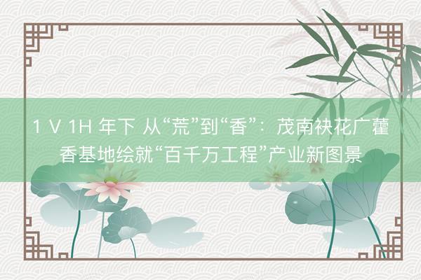 1 V 1H 年下 从“荒”到“香”：茂南袂花广藿香基地绘就“百千万工程”产业新图景