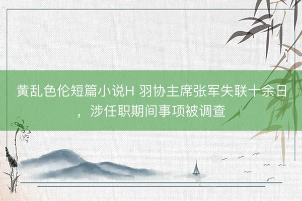 黄乱色伦短篇小说H 羽协主席张军失联十余日，涉任职期间事项被调查