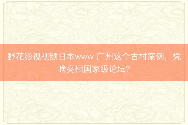 野花影视视频日本www 广州这个古村案例，凭啥亮相国家级论坛？
