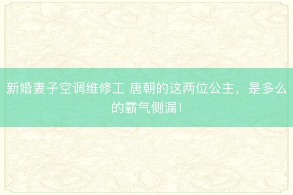 新婚妻子空调维修工 唐朝的这两位公主，是多么的霸气侧漏！