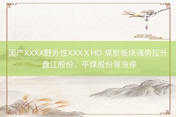 国产XXXX野外性XXXⅩHD 煤炭板块强势拉升 盘江股份、平煤股份等涨停