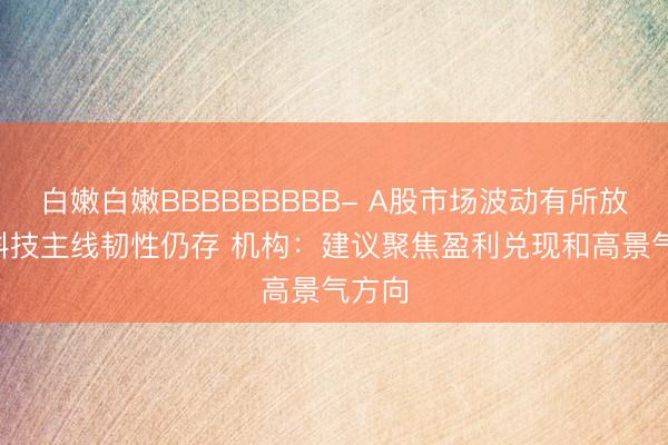 白嫩白嫩BBBBBBBBB- A股市场波动有所放大  科技主线韧性仍存 机构：建议聚焦盈利兑现和高景气方向