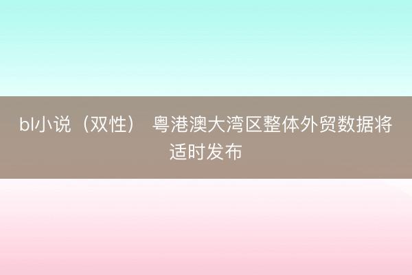 bl小说（双性） 粤港澳大湾区整体外贸数据将适时发布