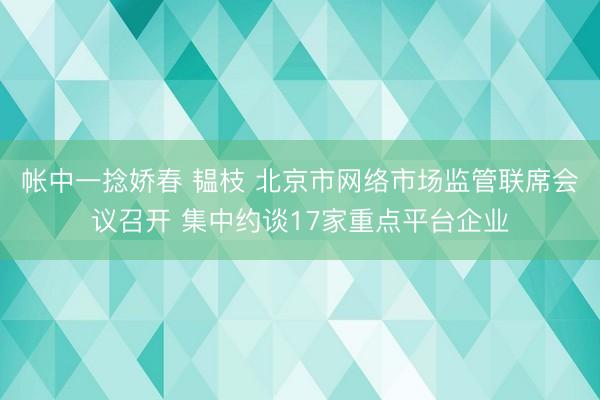 帐中一捻娇春 韫枝 北京市网络市场监管联席会议召开 集中约谈17家重点平台企业
