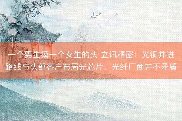 一个男生摸一个女生的头 立讯精密：光铜并进路线与头部客户布局光芯片、光纤厂商并不矛盾