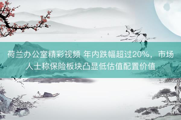 荷兰办公室精彩视频 年内跌幅超过20%，市场人士称保险板块凸显低估值配置价值