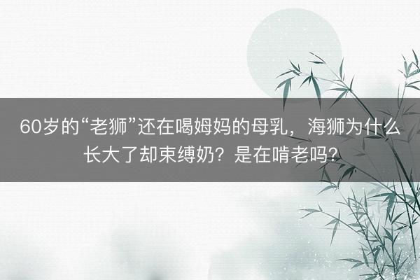60岁的“老狮”还在喝姆妈的母乳,海狮为什么长大了却束缚奶?是在啃老吗?