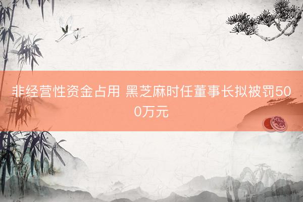 非经营性资金占用 黑芝麻时任董事长拟被罚500万元