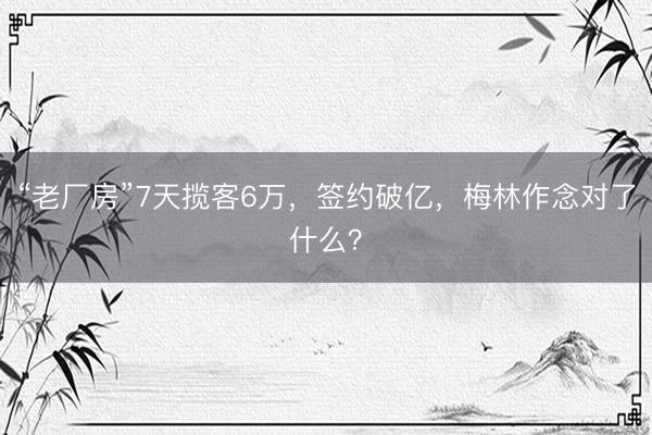 “老厂房”7天揽客6万，签约破亿，梅林作念对了什么？