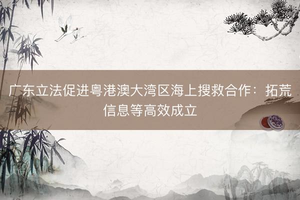 广东立法促进粤港澳大湾区海上搜救合作：拓荒信息等高效成立
