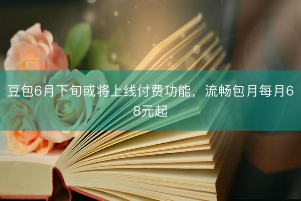 豆包6月下旬或将上线付费功能，流畅包月每月68元起