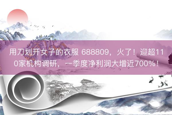 用刀划开女子的衣服 688809，火了！迎超110家机构调研，一季度净利润大增近700%！