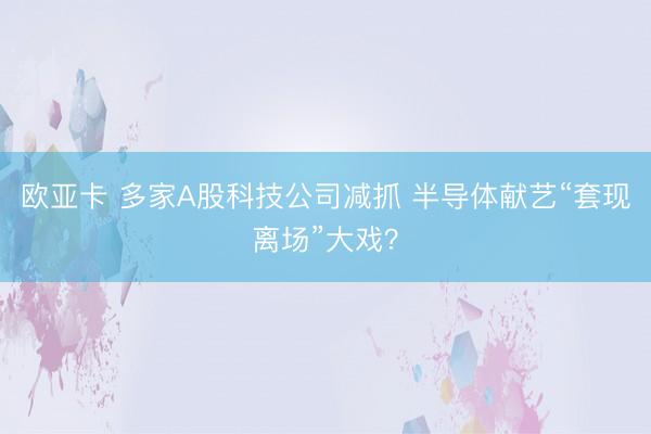 欧亚卡 多家A股科技公司减抓 半导体献艺“套现离场”大戏？