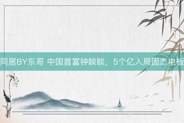 同居BY东哥 中国首富钟睒睒，5个亿入局固态电板