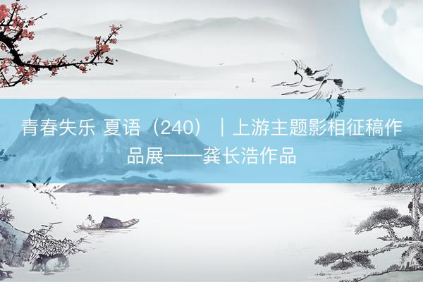 青春失乐 夏语（240）｜上游主题影相征稿作品展——龚长浩作品