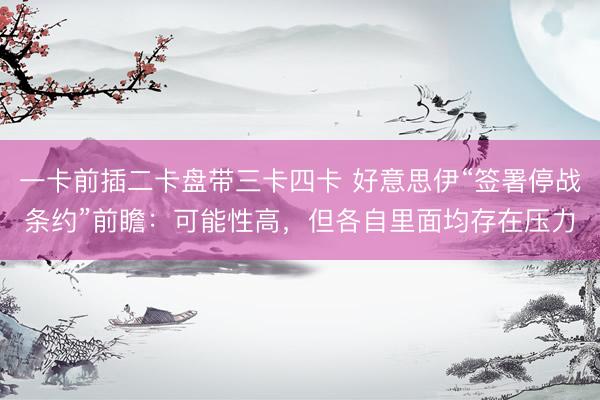 一卡前插二卡盘带三卡四卡 好意思伊“签署停战条约”前瞻：可能性高，但各自里面均存在压力