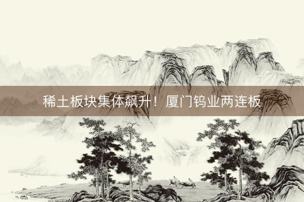 稀土板块集体飙升！厦门钨业两连板