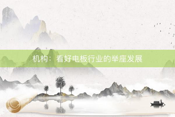 机构：看好电板行业的举座发展