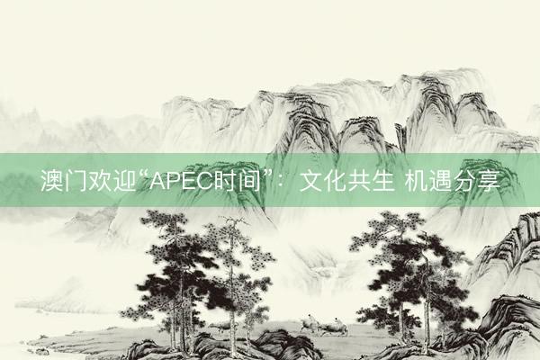 澳门欢迎“APEC时间”：文化共生 机遇分享