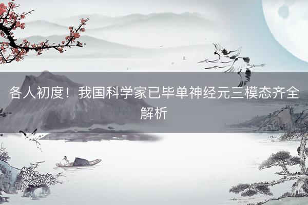 各人初度！我国科学家已毕单神经元三模态齐全解析