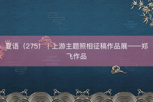 夏语（275）｜上游主题照相征稿作品展——郑飞作品