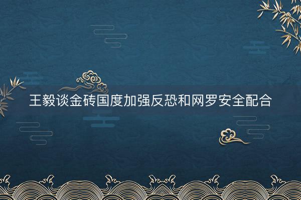 王毅谈金砖国度加强反恐和网罗安全配合