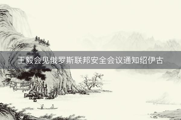 王毅会见俄罗斯联邦安全会议通知绍伊古